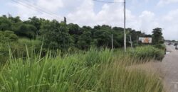 1½ Acres Claxton Bay – Highway Frontage  $2,500,000