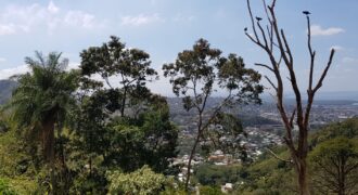 LOTS #4A & #4B CHANCELLOR HEIGHTS, LADY CHANCELLOR LAND – $5.2M