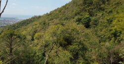 LOTS #4A & #4B CHANCELLOR HEIGHTS, LADY CHANCELLOR LAND – $5.2M