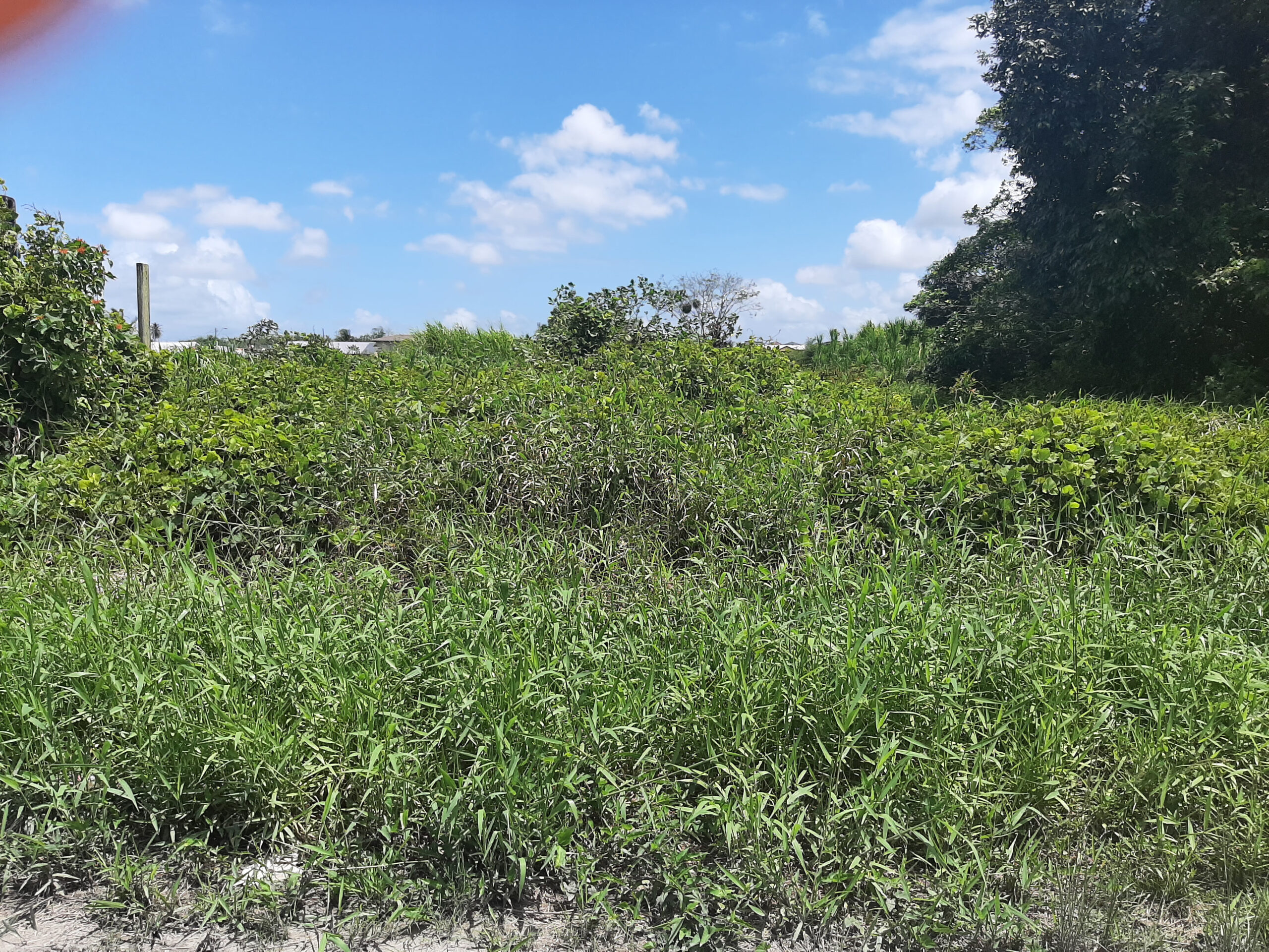 Piarco 1 Acre Parcel of Land for Sale 3 Mil