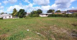 Land for Sale Waterloo Main Road, Freeport $1,820,000