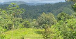 Cumaca, Valencia 32-Acre Quarry Land  $5,500,000