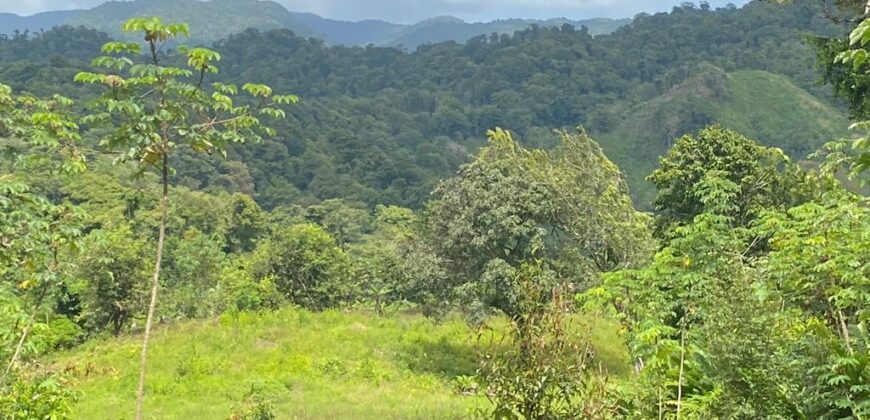 Cumaca, Valencia 32-Acre Quarry Land  $5,500,000