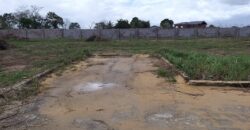 1 Acre Residential Development, Longdenville   $3,500,000