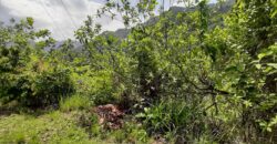 25,000 sqft of Land Maracas Gardens St Joseph $2,500,000