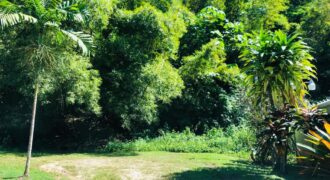 Moka Fully Approved Land For Sale $2,150,000 Neg