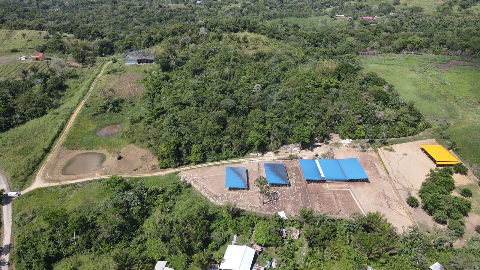 Agricultural Business on 15 Acres Piparo $18,000,000