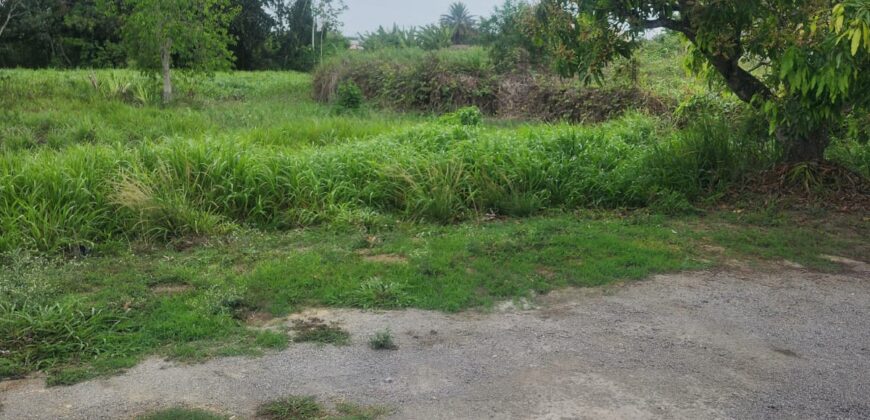 Approved Lot for Sale, Ragoonanan Road $500,000 Neg