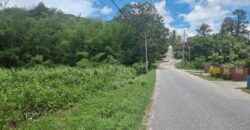 8 Lots For Sale, Little Caura, Tamana Road $150,000 Per lot