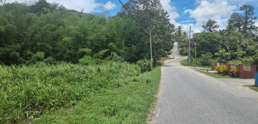 8 Lots For Sale, Little Caura, Tamana Road $150,000 Per lot