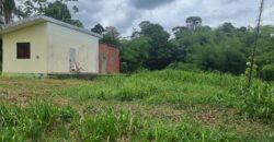 8 Lots For Sale, Little Caura, Tamana Road $150,000 Per lot