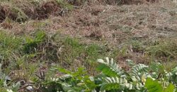 7000sqft Land, Longdenville For Sale! $400,000