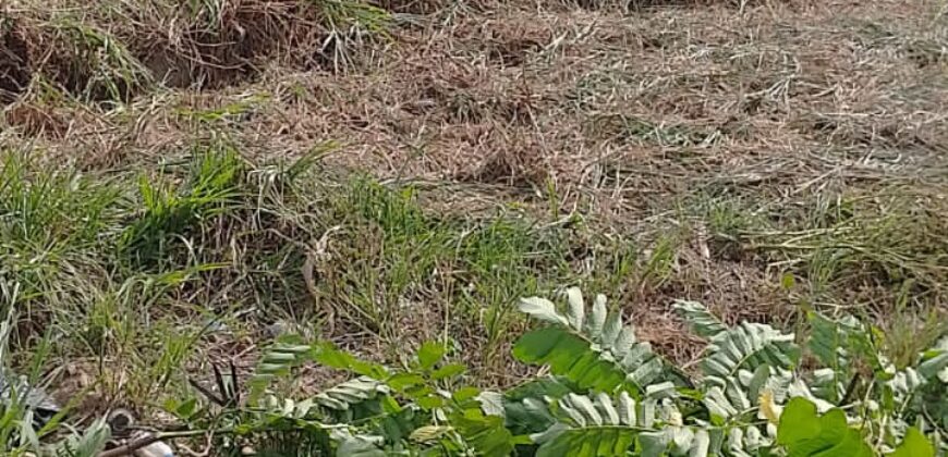 7000sqft Land, Longdenville For Sale! $400,000