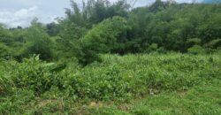 8 Lots For Sale, Little Caura, Tamana Road $150,000 Per lot