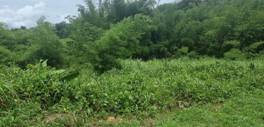 8 Lots For Sale, Little Caura, Tamana Road $150,000 Per lot