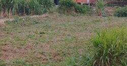 7000sqft Land, Longdenville For Sale! $400,000