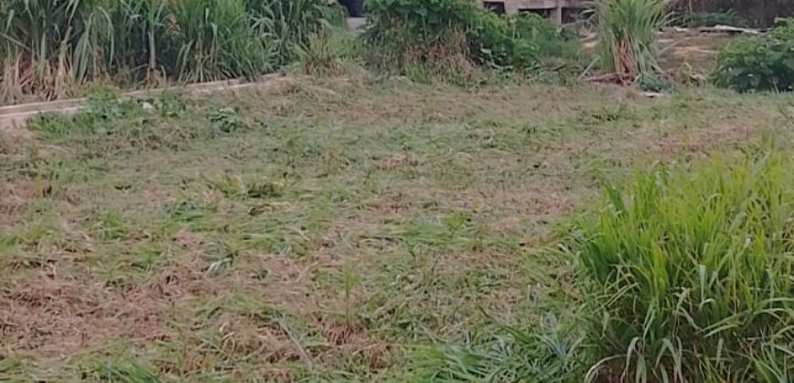 7000sqft Land, Longdenville For Sale! $400,000