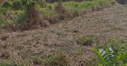 7000sqft Land, Longdenville For Sale! $400,000
