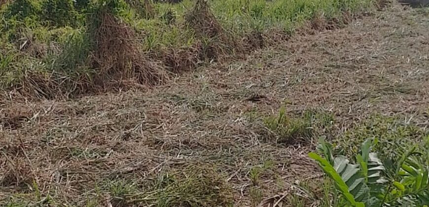 7000sqft Land, Longdenville For Sale! $400,000
