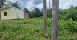 8 Lots For Sale, Little Caura, Tamana Road $150,000 Per lot