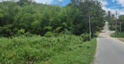 8 Lots For Sale, Little Caura, Tamana Road $150,000 Per lot
