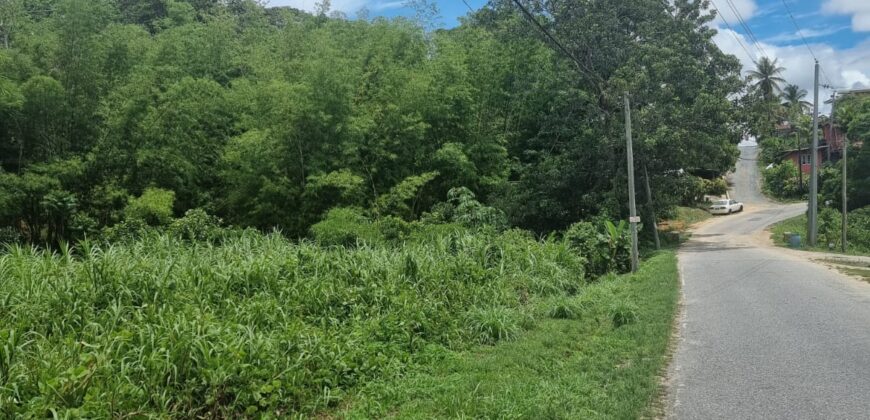 8 Lots For Sale, Little Caura, Tamana Road $150,000 Per lot